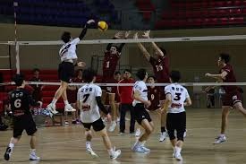 百家乐新手为什么要先观察（百家乐新手为何应先观察）